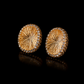 Aurora Radiance Statement Studs